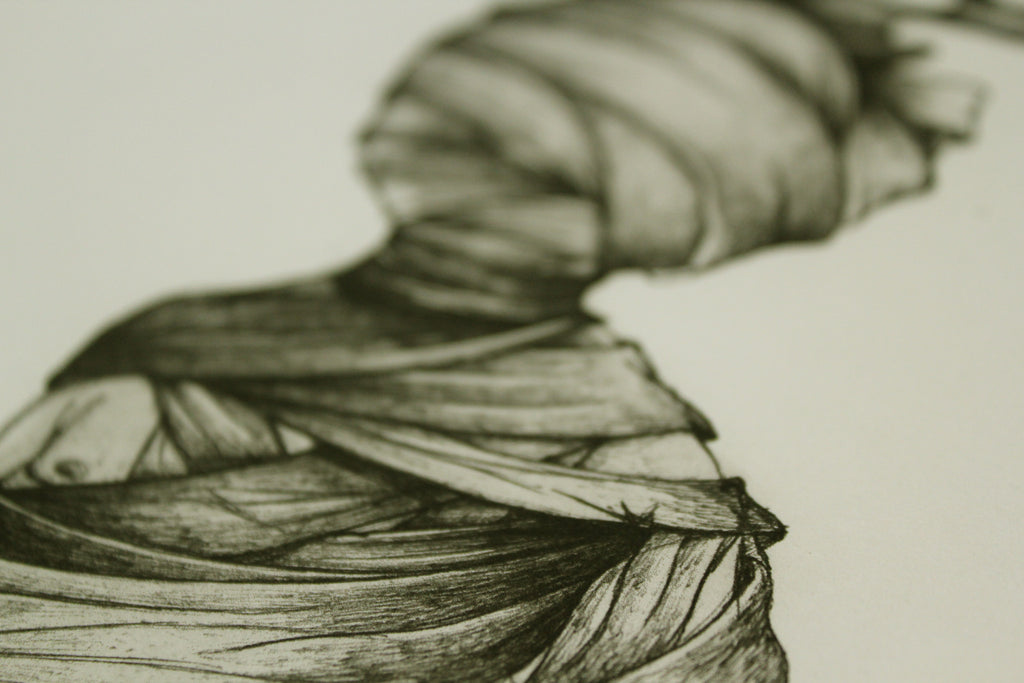 Photopolimer Engraving. Caught (Atrapado)